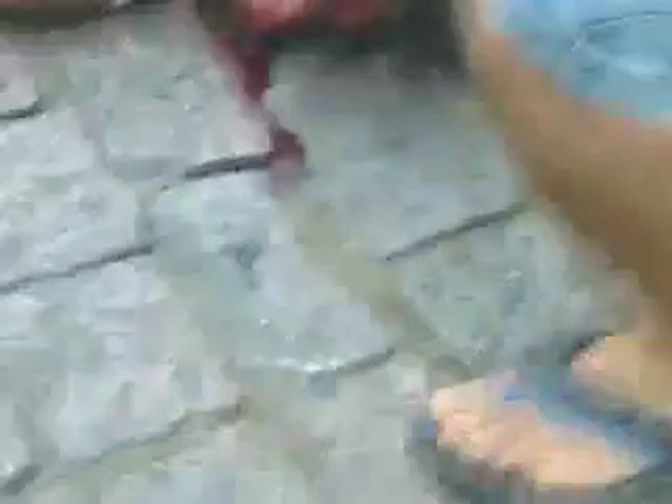 atropelamento.