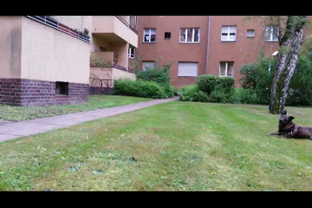 004 vierter Tag mit Vestibular ---- 02-05-2014 --- 16 - 30 Uhr