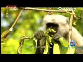 Spell Bee 2nd May 2014 Video Watch Online pt2