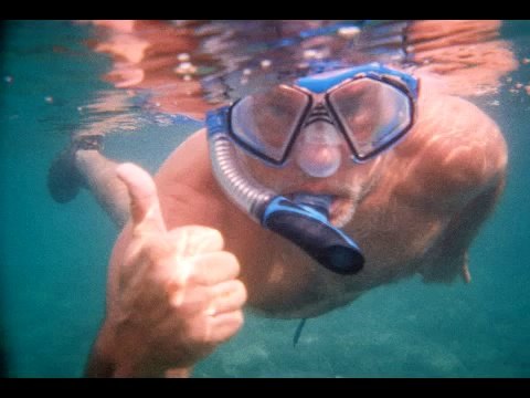 Leadership Development Strategies