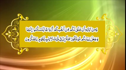 Chapter 36 - Quran Fehmi Course