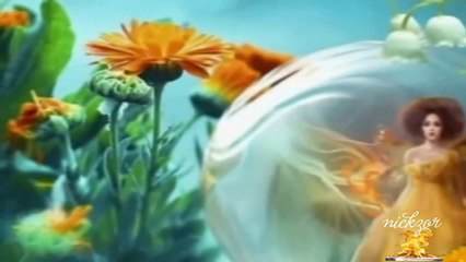 Fatih Kısaparmak - Çılgınım Benim