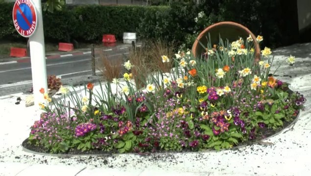 LES PROMENADES DE MICHOU W-D.D. - 4 AVRIL 2014 - PAU - UNE VILLE DANS UN JARDIN...