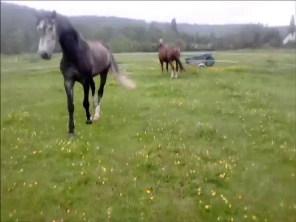 Quand Urigo se défoule