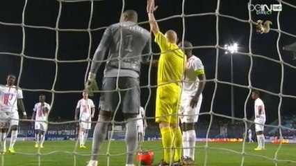 Bastia-Lille 2013-2014, les buts.