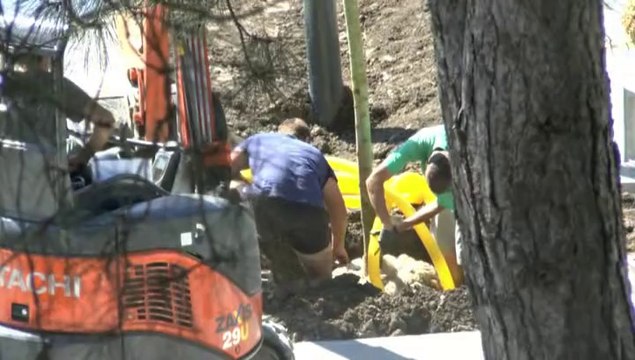 LES W-D.D. MICHOU FRIDAY NEWS - 9-10-11 AVRIL 2014 - STADE NAUTIQUE - PLANTATIONS DES ARBRES EN LIVE.