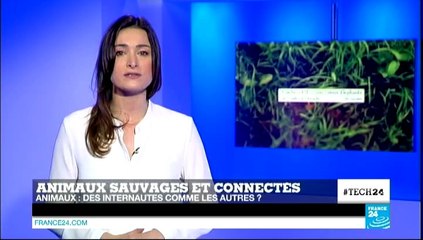 03/05/2014 TECH24 - 03/05/2014 TECH24