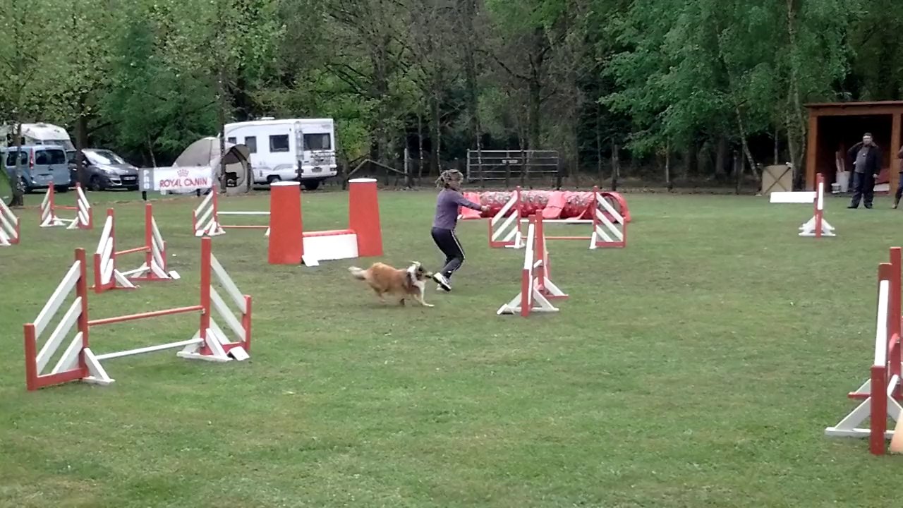 HINDY & TIFAINE JUMPING REGIONAL 2014