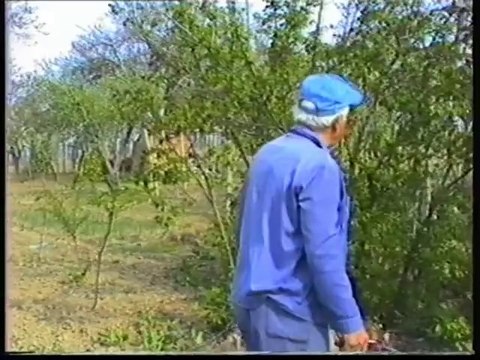 На гости в Свищов продължение