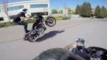 Insane Wheelies with Harley