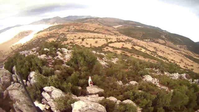 epagneul breton ile keklik avı 4