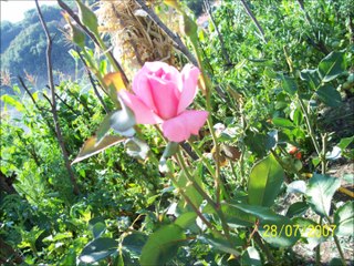 HACIMUSA GÖRÜNTLERİ Süper Türkü (Büyük Yalan Dizisinden Alınmıştır.)