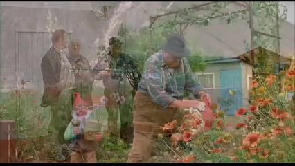 Schultze Gets the Blues - Movie Trailer