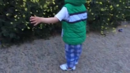 Işıklı Arabalı Çocuk Ayakkabısı