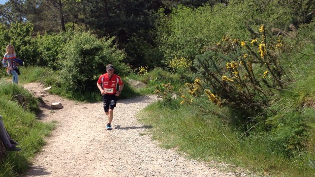 Trail Landes et Bruyères