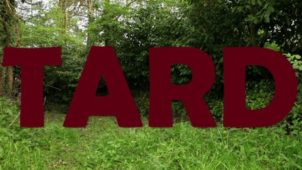 3.Tard de Eddy del Pino et Sylvain Anne