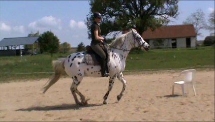 Oby détente au galop