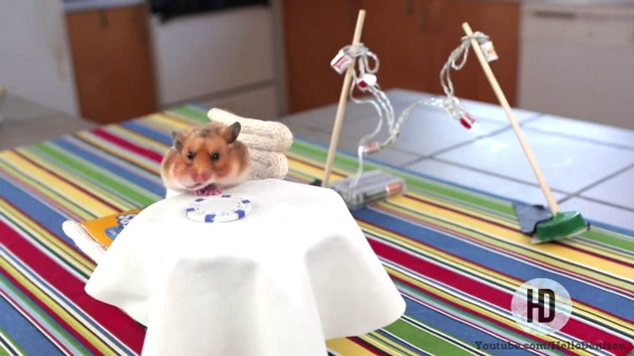 Dürüm Yiyen Hamster