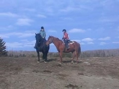 Beauty et moi au trot et au galop