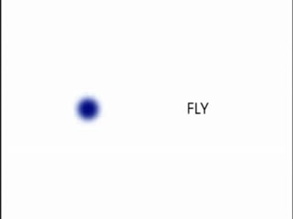 CORNELIUS - FLY