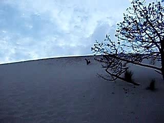 dune pyla 120m en qlq seconde