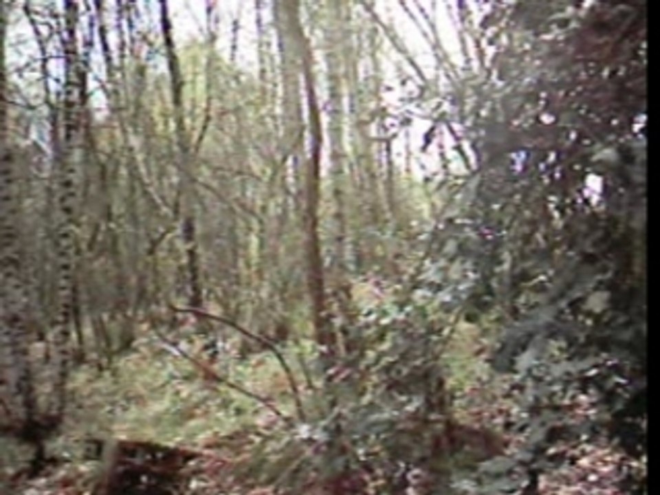 Small jump