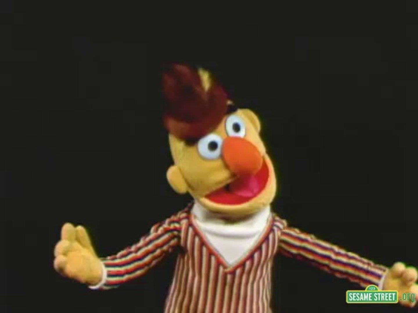 sesame street bert pigeon