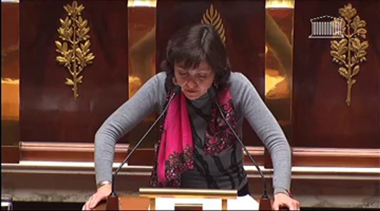 ÉLECTION DES CONSEILLERS DÉPARTEMENTAUX, DES CONSEILLERS MUNICIPAUX, DES DÉLÉGUÉS COMMUNAUTAIRES ET MODIFICATION DU CALENDRIER ÉLECTORAL (loi ordinaire et loi organique) (suite) Discussion générale commune - Mardi 19 Février 2013