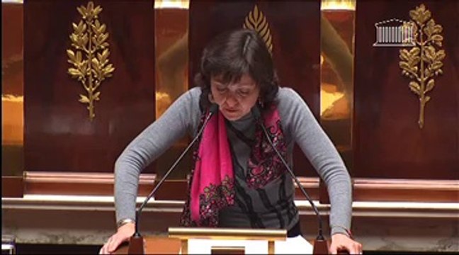 ÉLECTION DES CONSEILLERS DÉPARTEMENTAUX, DES CONSEILLERS MUNICIPAUX, DES DÉLÉGUÉS COMMUNAUTAIRES ET MODIFICATION DU CALENDRIER ÉLECTORAL (loi ordinaire et loi organique) (suite) Discussion générale commune - Mardi 19 Février 2013