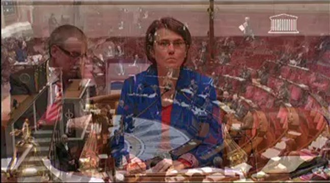 ÉLECTION DES CONSEILLERS DÉPARTEMENTAUX, DES CONSEILLERS MUNICIPAUX, DES DÉLÉGUÉS COMMUNAUTAIRES ET MODIFICATION DU CALENDRIER ÉLECTORAL (suite) - Mardi 19 Février 2013