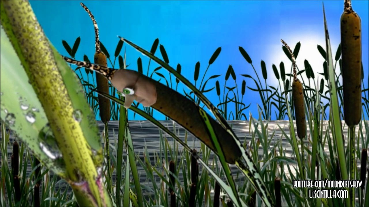 LE CHÊNE et LE ROSEAU Fable de Jean de La Fontaine