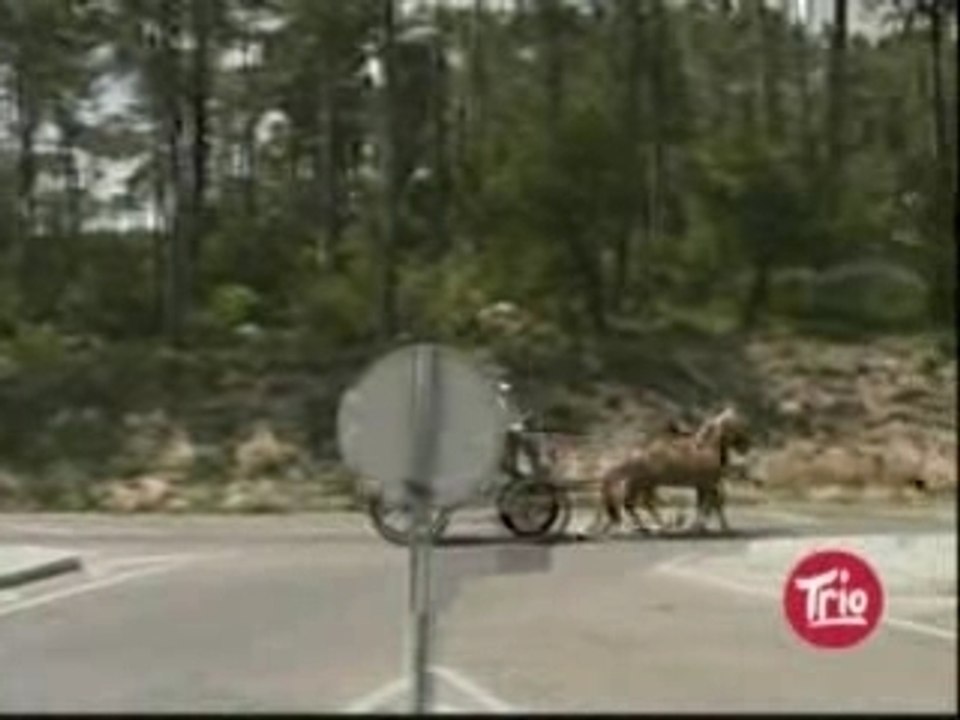 Secret Rulers Of The World Bilderburg