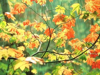 Ahmet KAYA - MERHABA