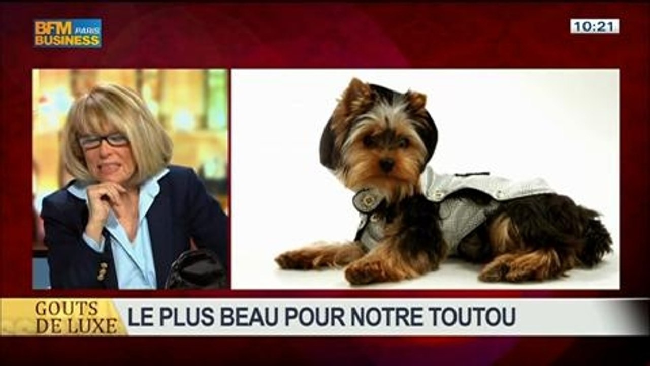 Chiens en ville: le plus beau pour notre toutou, dans Goûts de luxe Paris – 04/05 2/8