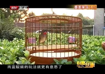 20130902 财富故事 2013-09-02