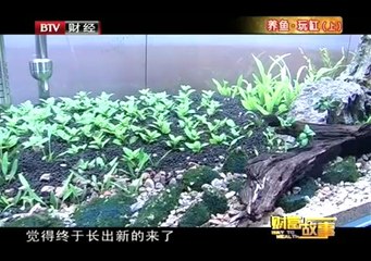 20130808 财富故事 2013-08-08
