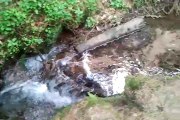 Ein beruhigender Bach im Odenwald / A calming creek in the deep woods of the German Odenwald