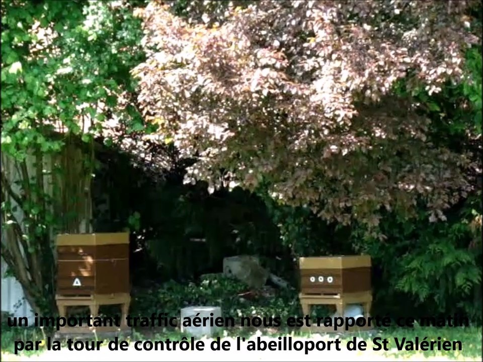 2014-05-04 - Abeilloport