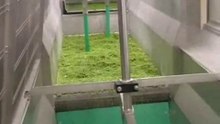 EASY Freeze - petits pois Green Peas Freezing - www.pigo.it