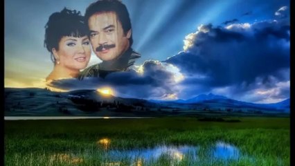 ORHAN GENCEBAY - DUYMADIN Kİ ( enstrmental )