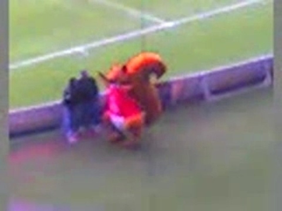 Mascote