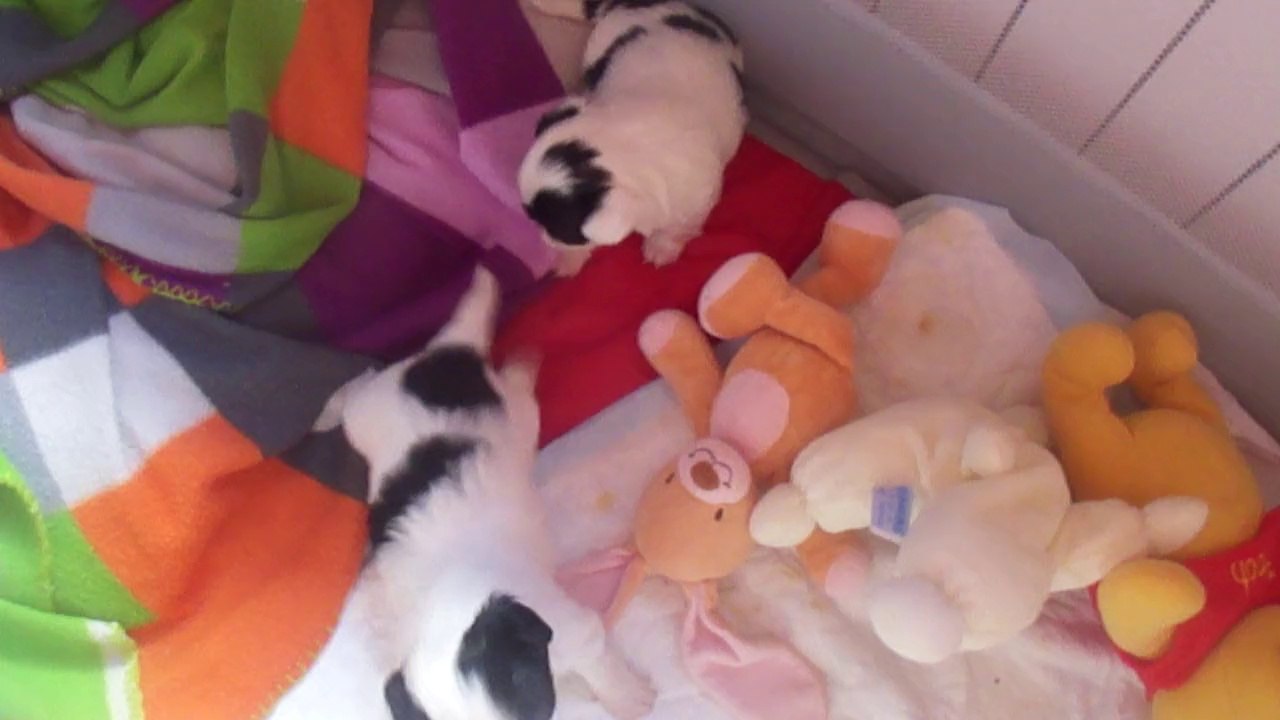 M4H04598 Premiers jeux de Jade et Jeannette!