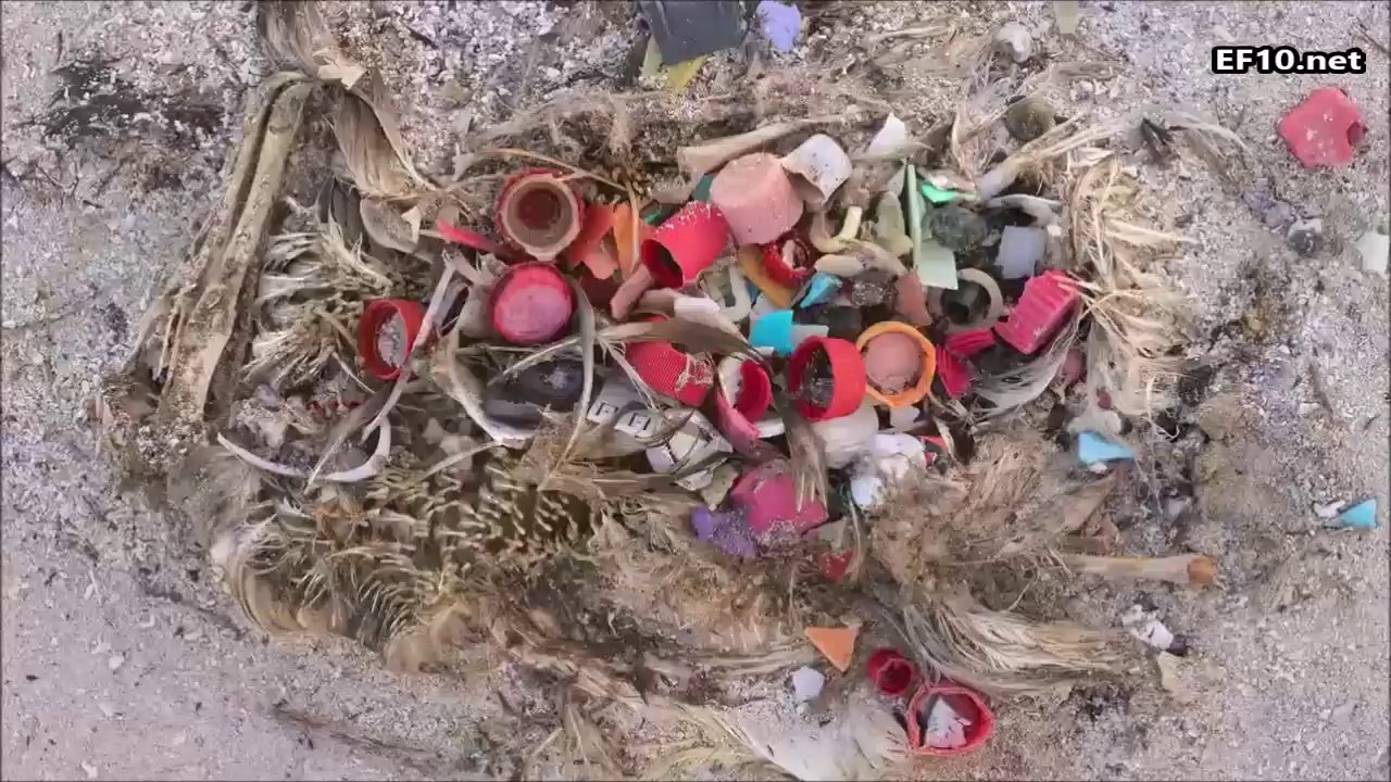 GÖZLERİNİZE İNANAMAYAÇAKSINIZ!!!