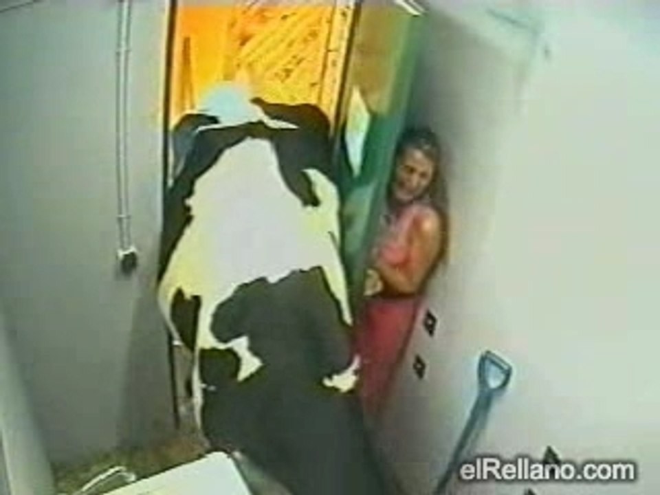 A vaca assustando a loira