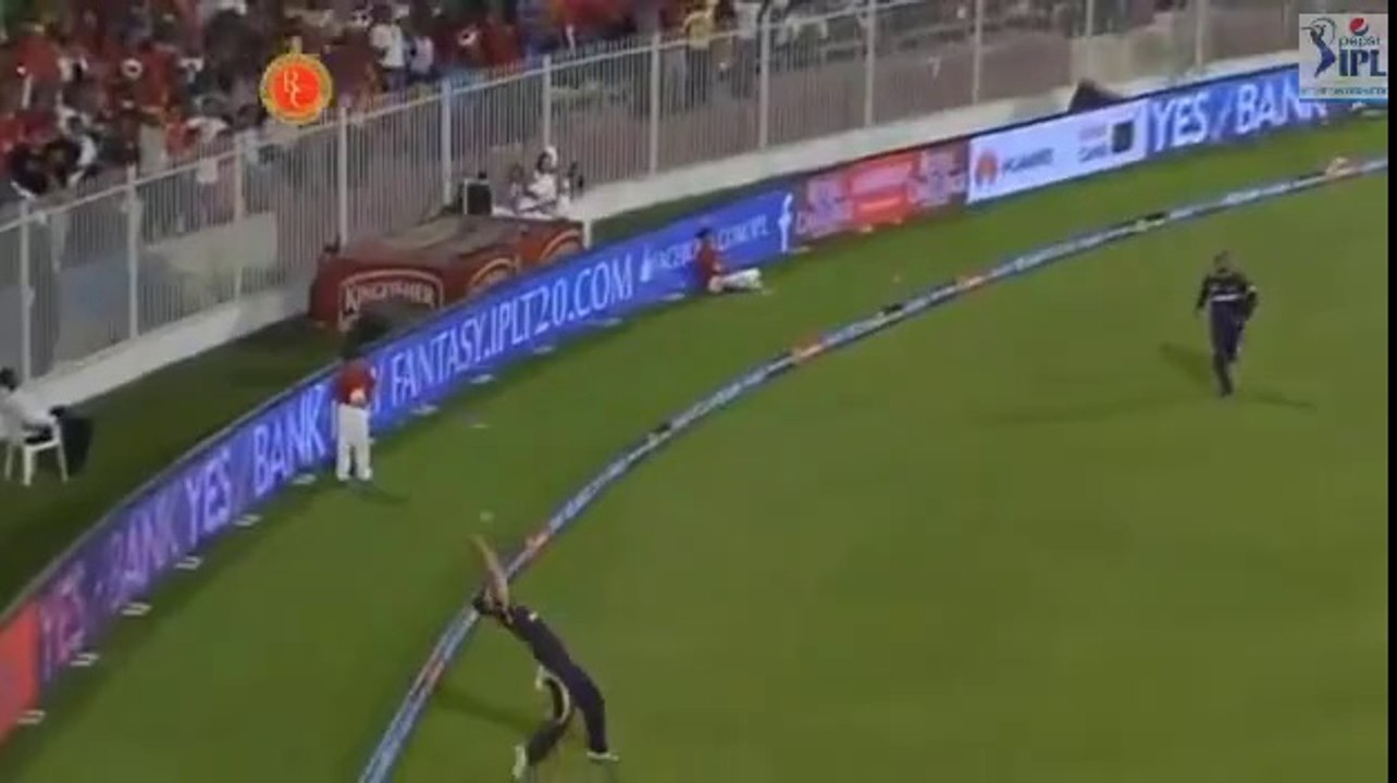 Amazing catch