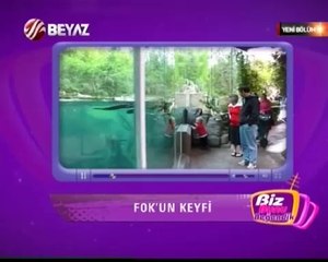 Biz Bunu Beğendik 03.05.2014