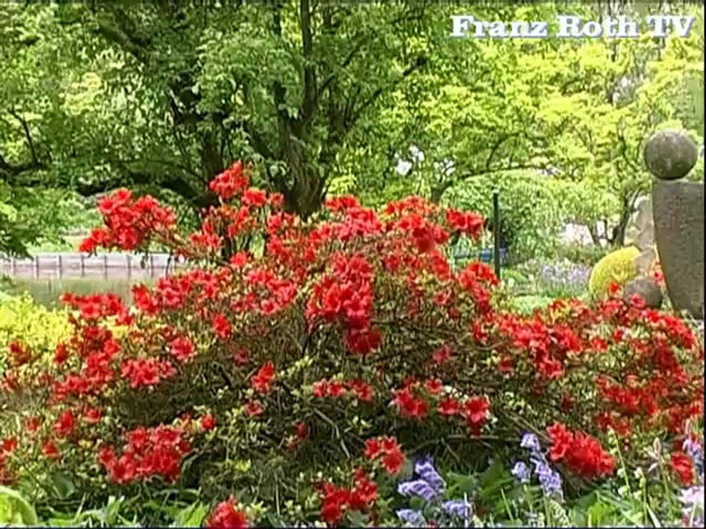 Europas Rosengarten In Zweibrucken Video Dailymotion