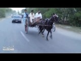 jabir khan & ch. iftikhar horse ziddi malang jumma try 2-5-14