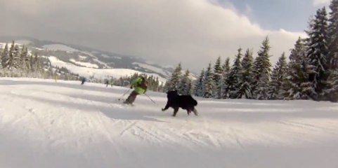 Igor Porfentev & his dog into the powder by GoPro - Ski