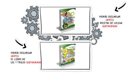 Dieta Metabolica la dieta para perder barriga